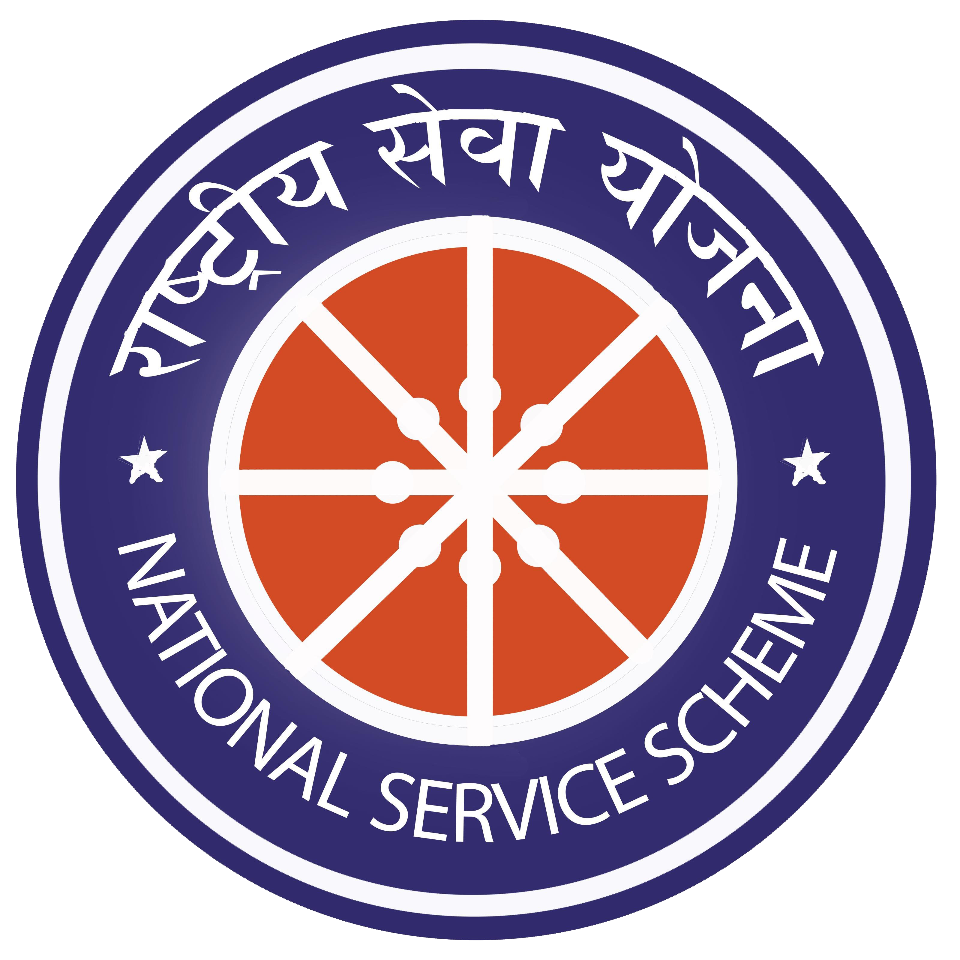 nss logo